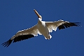 Coyote Hills Regional Park